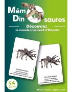 Mémo Dinosaures
