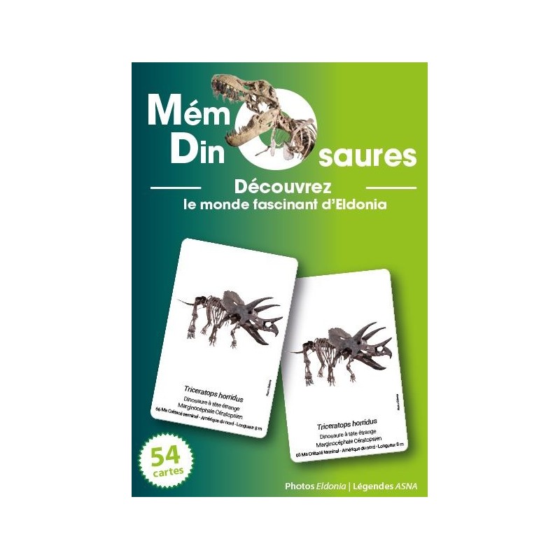 Mémo Dinosaures