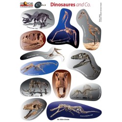 Planche de 12 autocollants de dinosaures en partenariat avec Eldonia