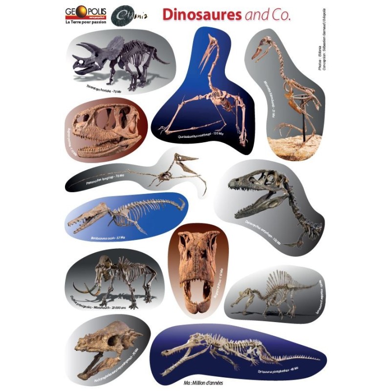 Planche de 12 autocollants de dinosaures en partenariat avec Eldonia