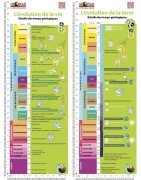 Plaquette : Echelle des temps géologiques - L'évolution de la vie et de la terre