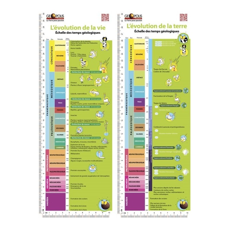 Plaquette : Echelle des temps géologiques - L'évolution de la vie et de la terre