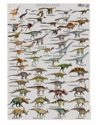 Poster Dinosaures