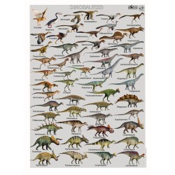 Poster Dinosaures