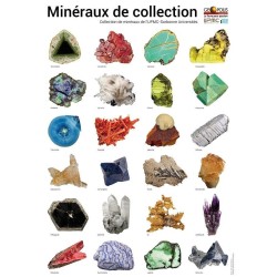 Poster - 24 minéraux de Collection (EPUISE)