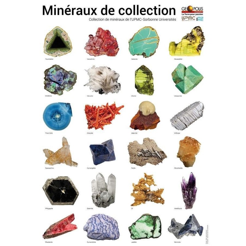 Poster - 24 minéraux de Collection (EPUISE)